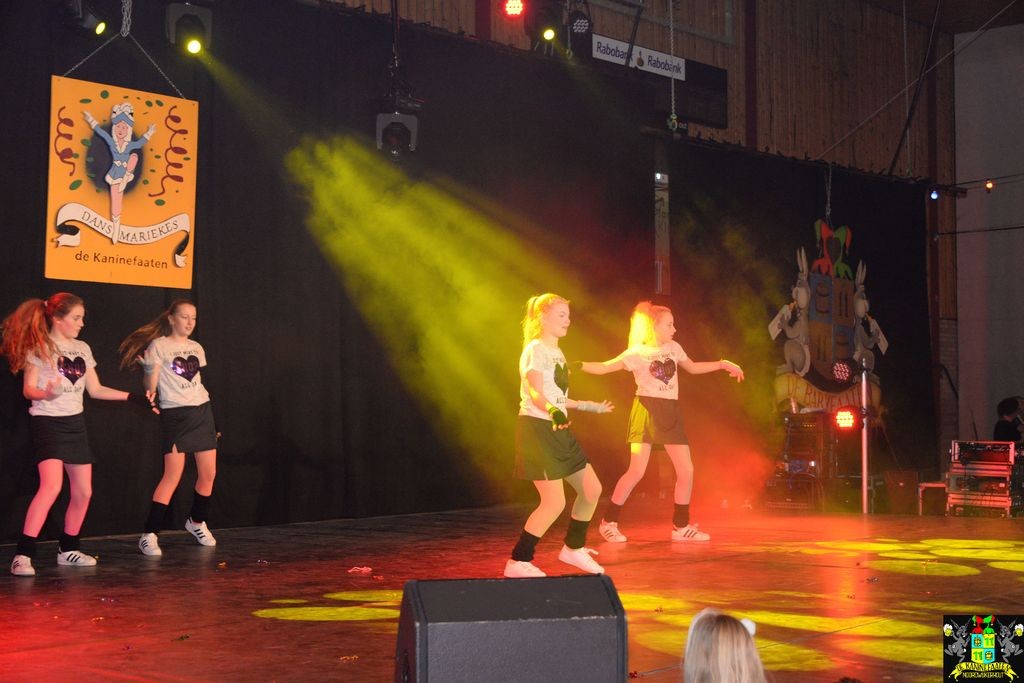 ../Images/Dansmarieke festival 2018 305.jpg